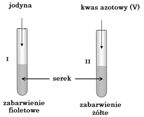 Probówki